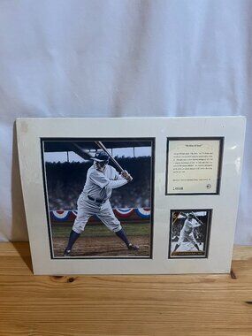 Babe Ruth The King of Swat 1992 Kelly Russell Used Good Condition $25